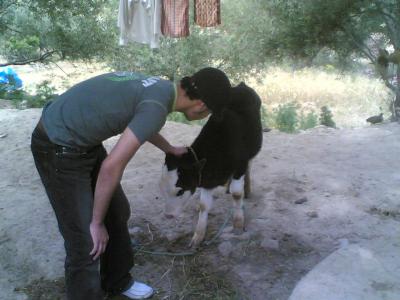 hein alors koi